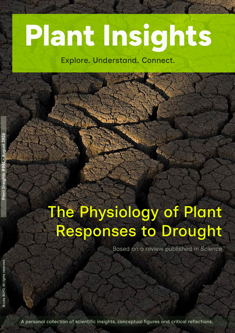 plant-insights-001-julie-buyo