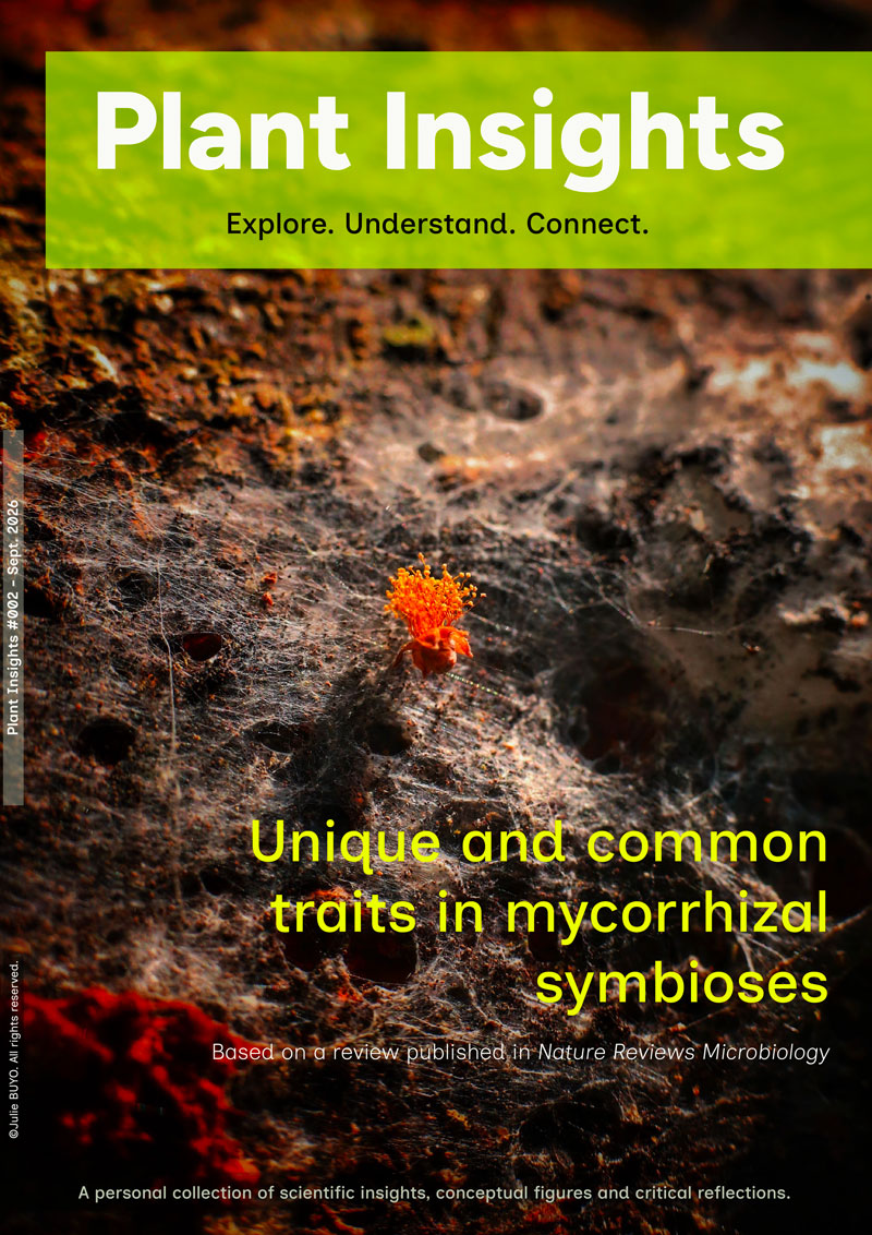 plant-insights-002-julie-buyo